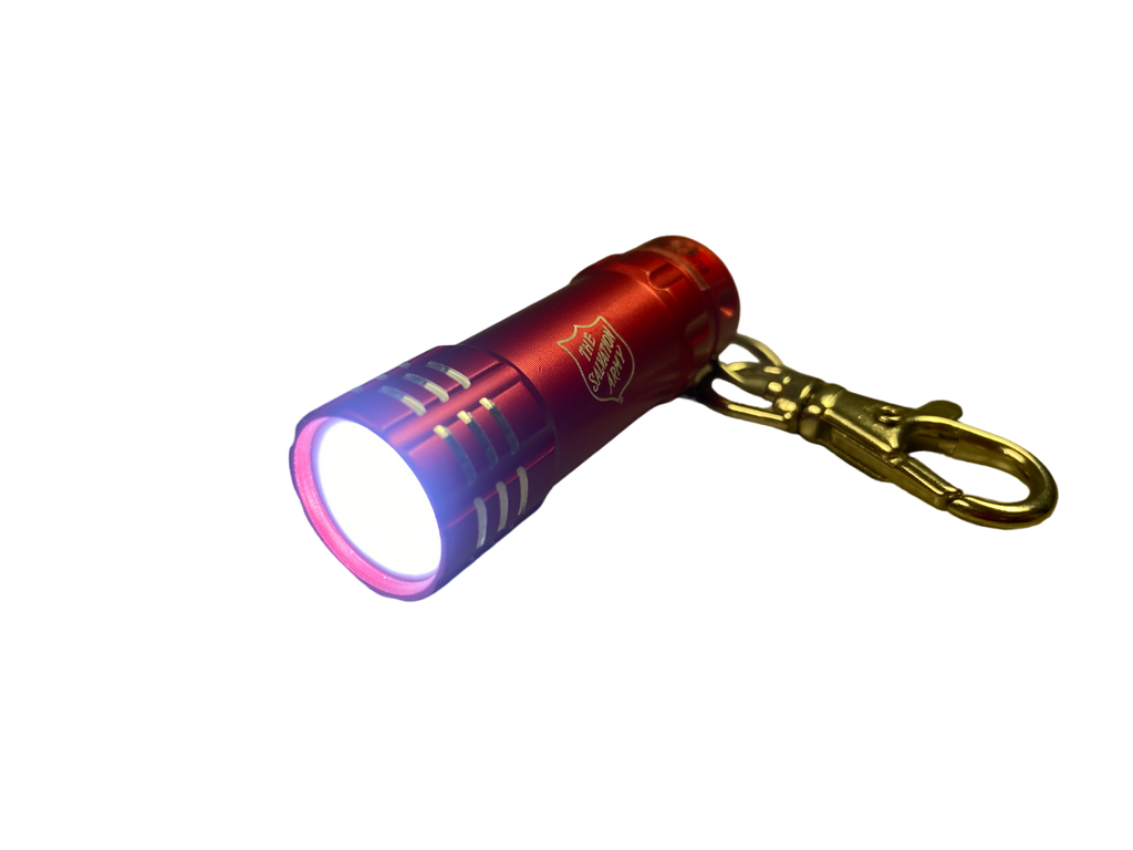 LED Mini Flashlight Keychain with Shield